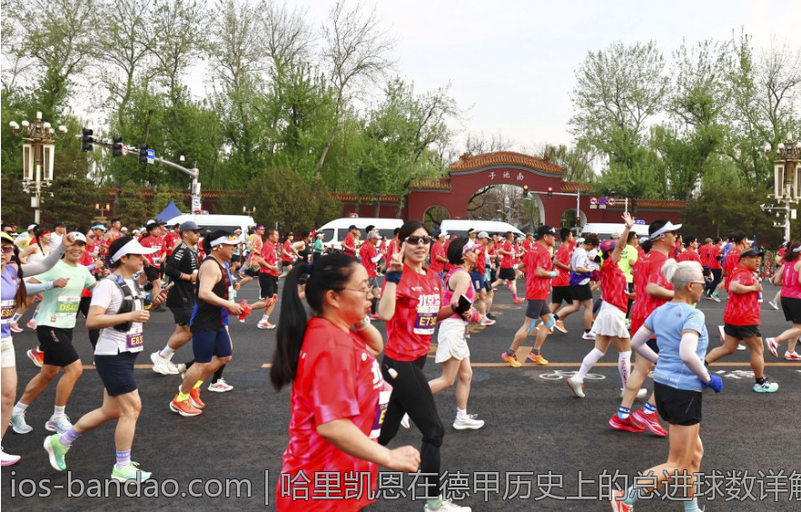 哈里凯恩在德甲历史上的总进球数详解